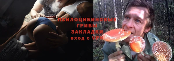 бошки Алексин
