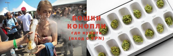 бошки Алексин