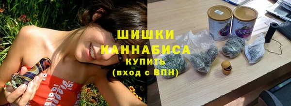 бошки Алексин