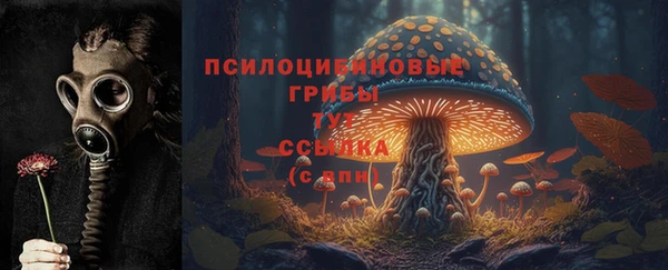a pvp Алексеевка